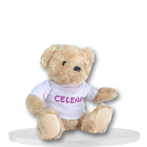 Teddy Bear | With custom printed shirt
